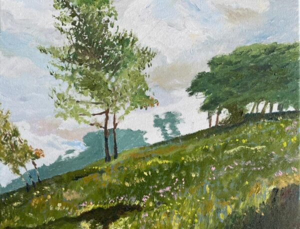 Windy Meadows