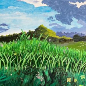 Meadow